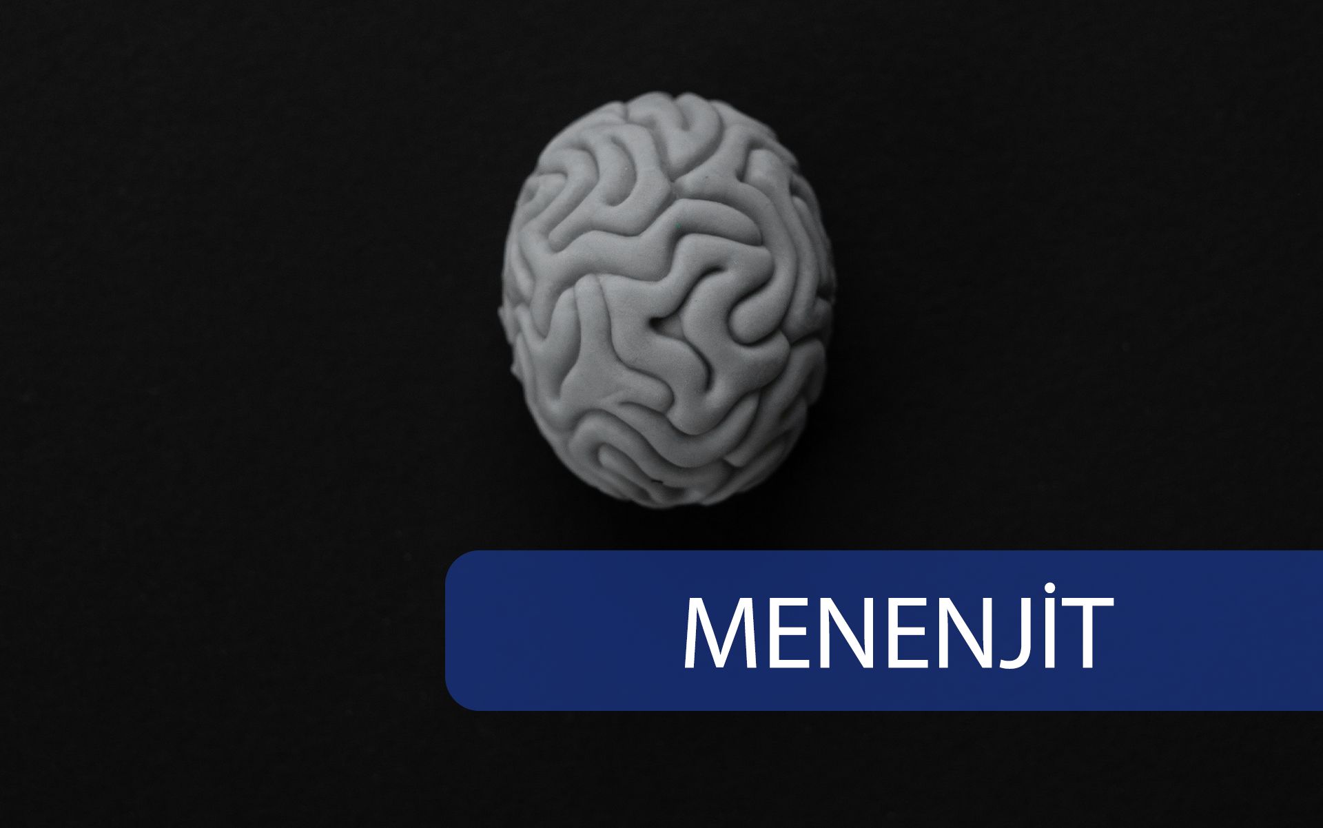 Menenjit