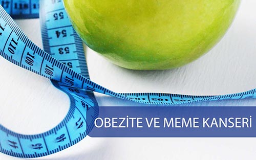 Obezite Ve Meme Kanseri