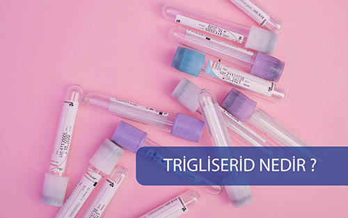 Trigliserid Nedir?